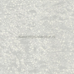 Dutch First Class Roberto Cavalli 8 19034 | Bestellen bij https://www.kleurmijninterieur.nl/