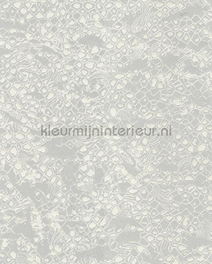 Dutch First Class Roberto Cavalli 8 19034 | Bestellen bij https://www.kleurmijninterieur.nl/