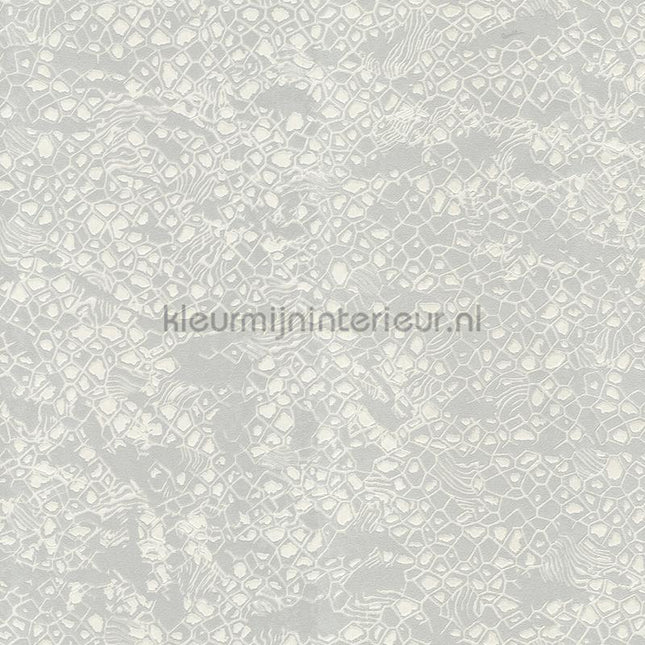 Dutch First Class Roberto Cavalli 8 19034 | Bestellen bij https://www.kleurmijninterieur.nl/