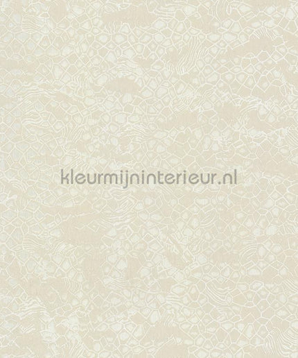 Dutch First Class Roberto Cavalli 8 19037 | Bestellen bij https://www.kleurmijninterieur.nl/