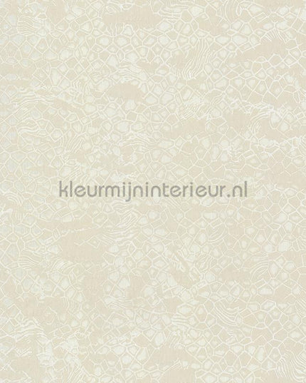 Dutch First Class Roberto Cavalli 8 19037 | Bestellen bij https://www.kleurmijninterieur.nl/