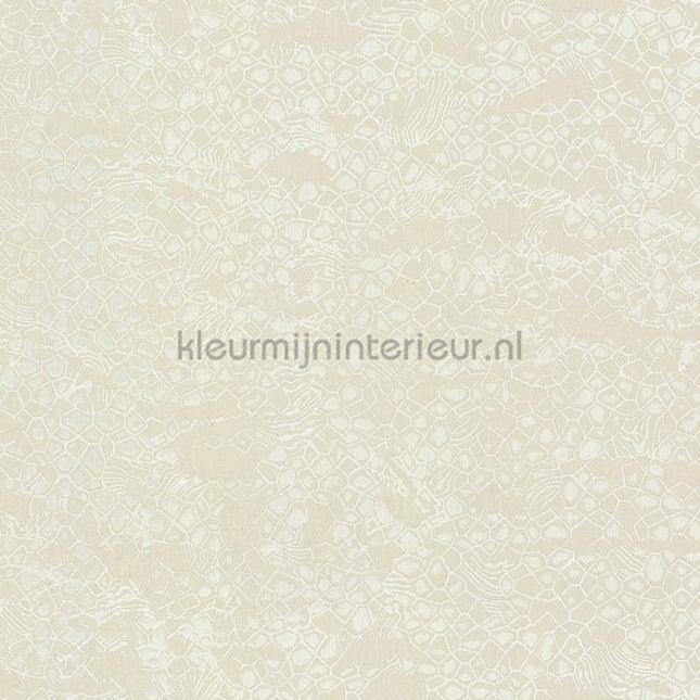 Dutch First Class Roberto Cavalli 8 19037 | Bestellen bij https://www.kleurmijninterieur.nl/