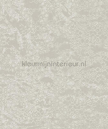 Dutch First Class Roberto Cavalli 8 19038 | Bestellen bij https://www.kleurmijninterieur.nl/