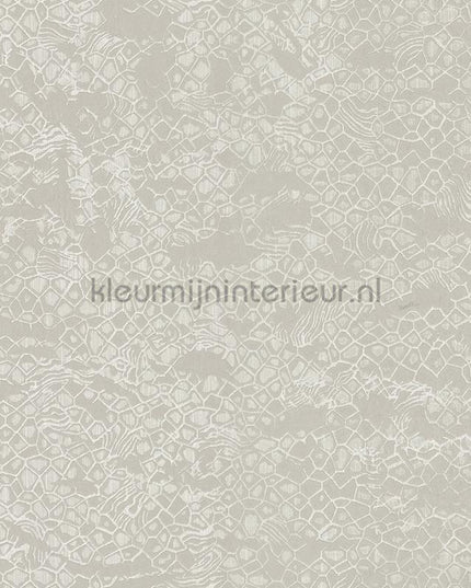 Dutch First Class Roberto Cavalli 8 19038 | Bestellen bij https://www.kleurmijninterieur.nl/
