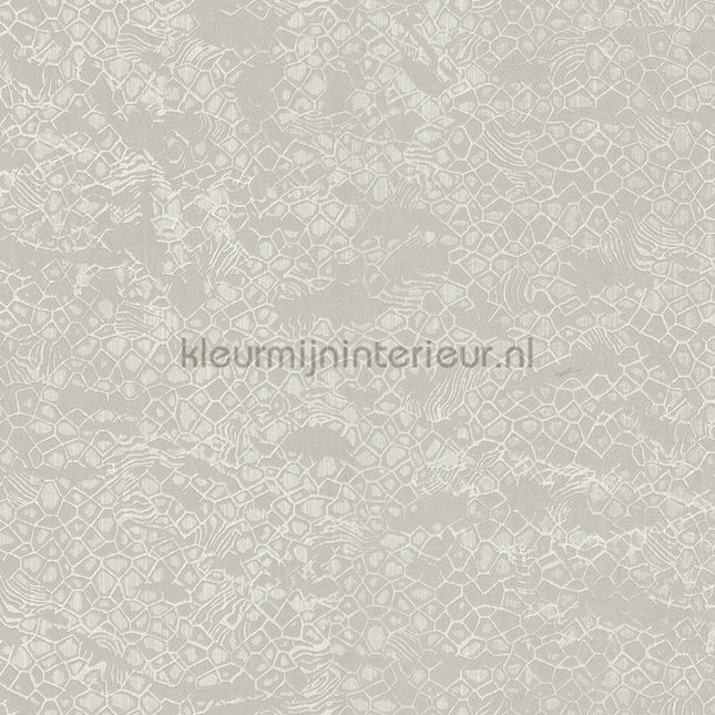 Dutch First Class Roberto Cavalli 8 19038 | Bestellen bij https://www.kleurmijninterieur.nl/