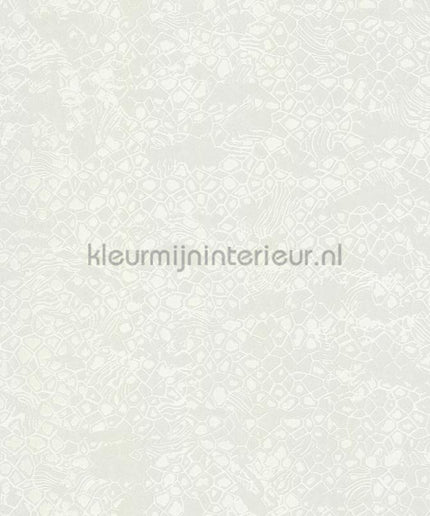 Dutch First Class Roberto Cavalli 8 19039 | Bestellen bij https://www.kleurmijninterieur.nl/
