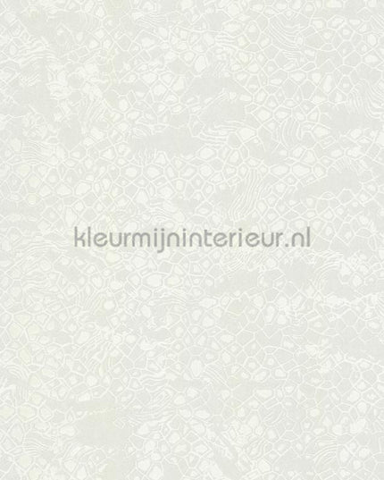 Dutch First Class Roberto Cavalli 8 19039 | Bestellen bij https://www.kleurmijninterieur.nl/