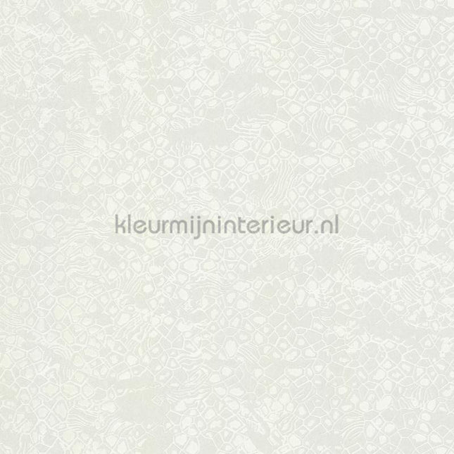 Dutch First Class Roberto Cavalli 8 19039 | Bestellen bij https://www.kleurmijninterieur.nl/