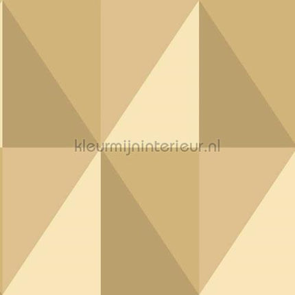Cole and Son Geometric II 105-10042 | Bestellen bij https://www.kleurmijninterieur.nl/