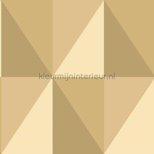 Cole and Son Geometric II 105-10042 | Bestellen bij https://www.kleurmijninterieur.nl/