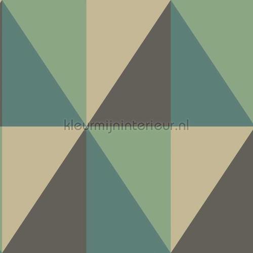 Cole and Son Geometric II 105-10045 | Bestellen bij https://www.kleurmijninterieur.nl/