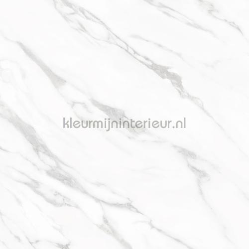 Bodaq Marmer ns814 | Bestellen bij https://www.kleurmijninterieur.nl/