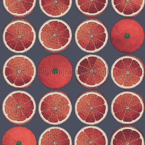 Cole and Son Fornasetti 114-24046 | Bestellen bij https://www.kleurmijninterieur.nl/