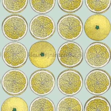 Cole and Son Fornasetti 114-24048 | Bestellen bij https://www.kleurmijninterieur.nl/