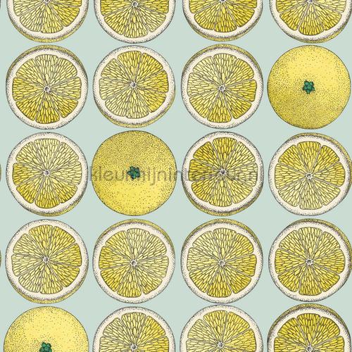 Cole and Son Fornasetti 114-24048 | Bestellen bij https://www.kleurmijninterieur.nl/