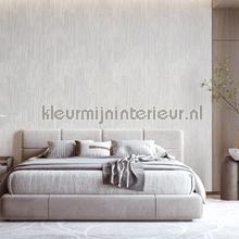 Dutch Wallcoverings Exclusive Threads TP422931 | Bestellen bij https://www.kleurmijninterieur.nl/