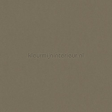 Architects Paper Floral Impression 377481 | Bestellen bij https://www.kleurmijninterieur.nl/