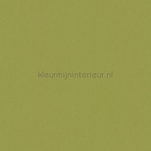 Architects Paper Floral Impression 377493 | Bestellen bij https://www.kleurmijninterieur.nl/
