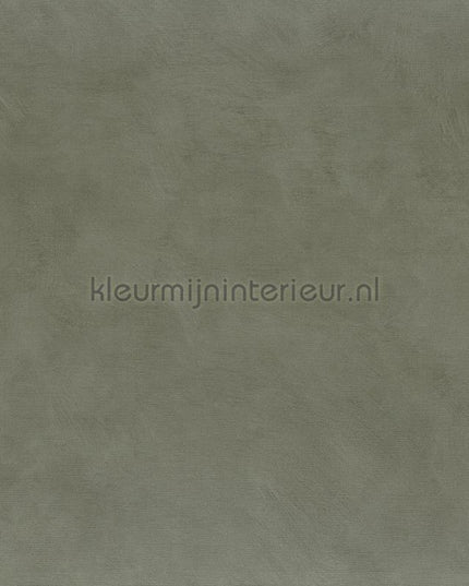 Casamance Mouvements A75493262 | Bestellen bij https://www.kleurmijninterieur.nl/