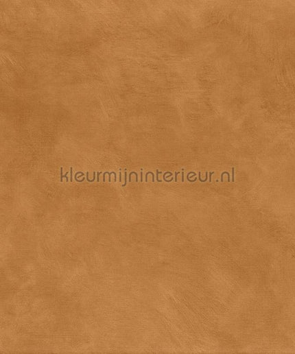 Casamance Mouvements A75492548 | Bestellen bij https://www.kleurmijninterieur.nl/