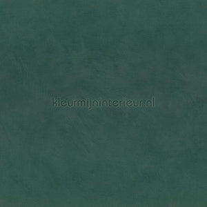 Casamance Mouvements A75494384 | Bestellen bij https://www.kleurmijninterieur.nl/