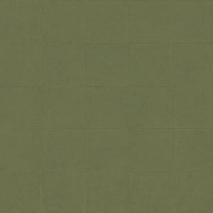 21051 Arte Textura Campo Olive