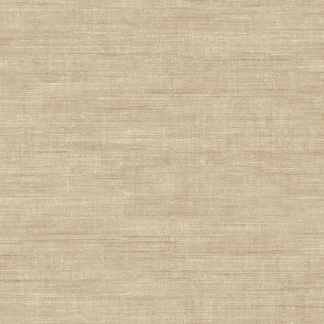 24508 Arte Textura Canvas Straw