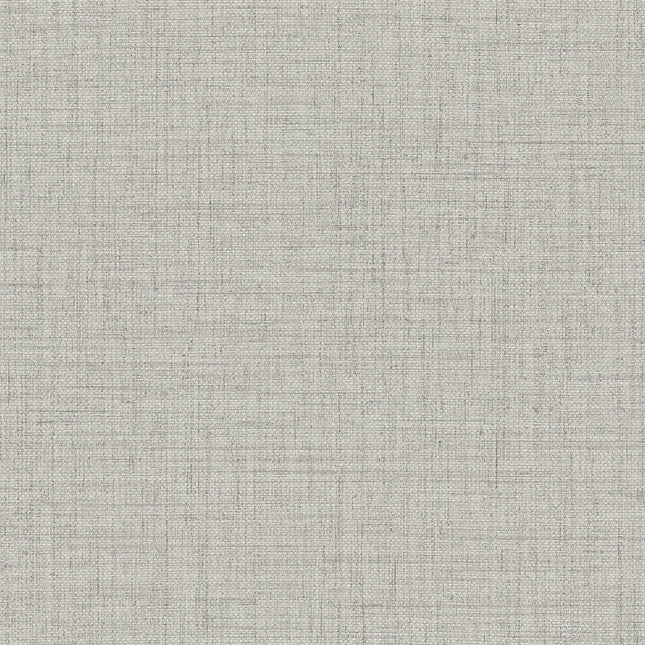27008 Arte Textura Puro Ash