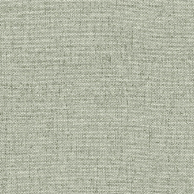 27011 Arte Textura Puro Silver Pine