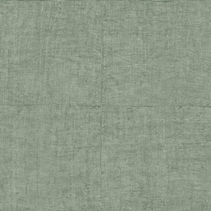 33021 Arte Antigua Tintura Celadon