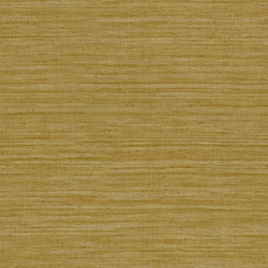 40501 Arte Lino Lignes