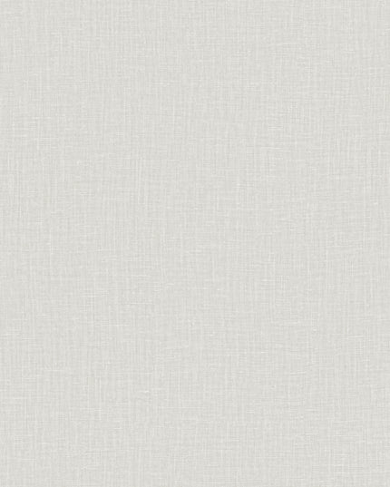 40523 Arte Textura Gioco Ash