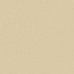 40532 Arte Textura Gioco Sand
