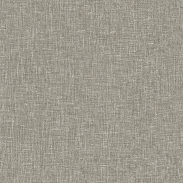 40536 Arte Textura Gioco Galet