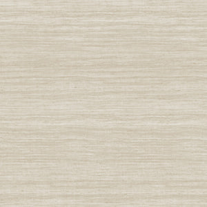 72021 Arte Textura Tasar Silver Sand
