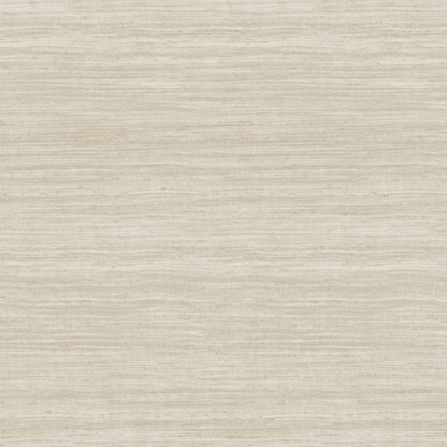 72021 Arte Textura Tasar Silver Sand