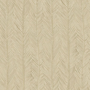 75401 Arte Monsoon Itaya Coquille