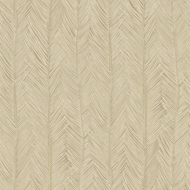 75401 Arte Monsoon Itaya Coquille