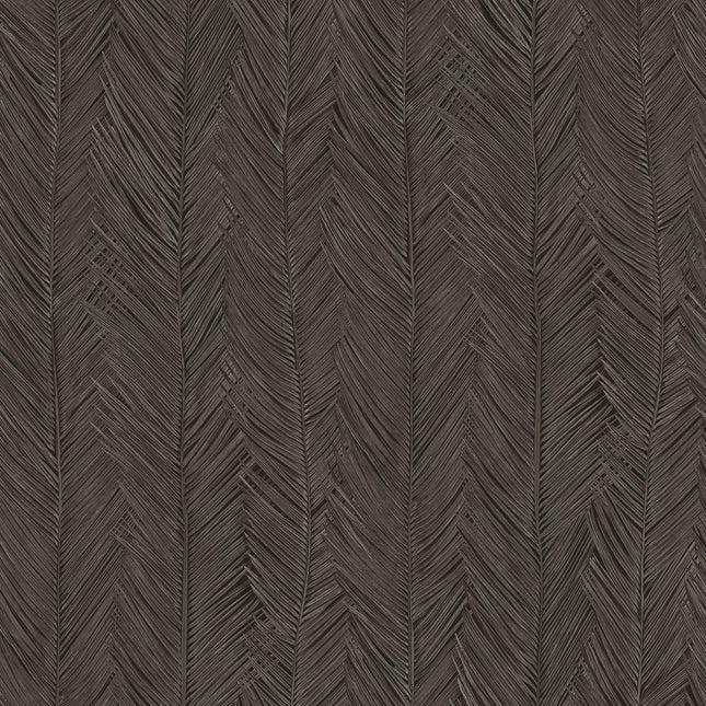 75403 Arte Monsoon Itaya Graphite