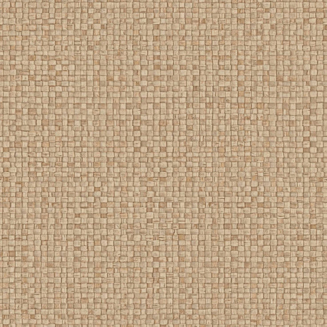 Arte Lanai Puna 81541