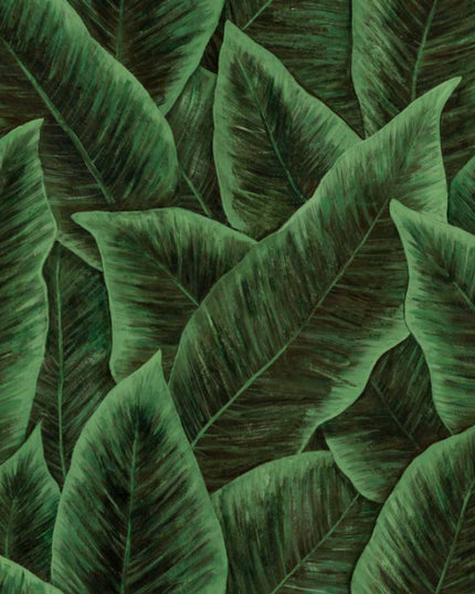 97572 Arte Decors Panoramiques Bird of paradise