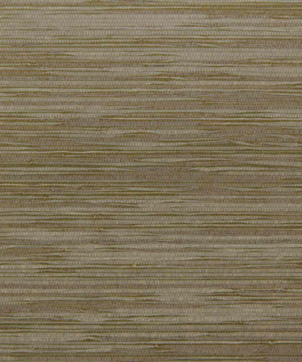 Arte Cobra CA43