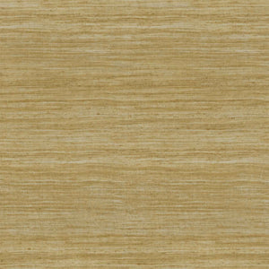 Arte Expedition Eri 72057
