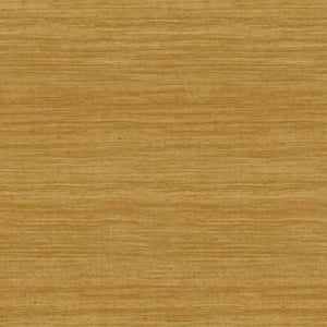 Arte Expedition Tasar 72026