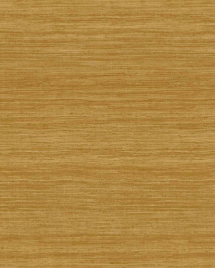 Arte Expedition Tasar 72026