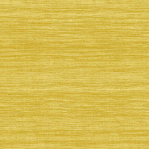 Arte Expedition Tasar 72029