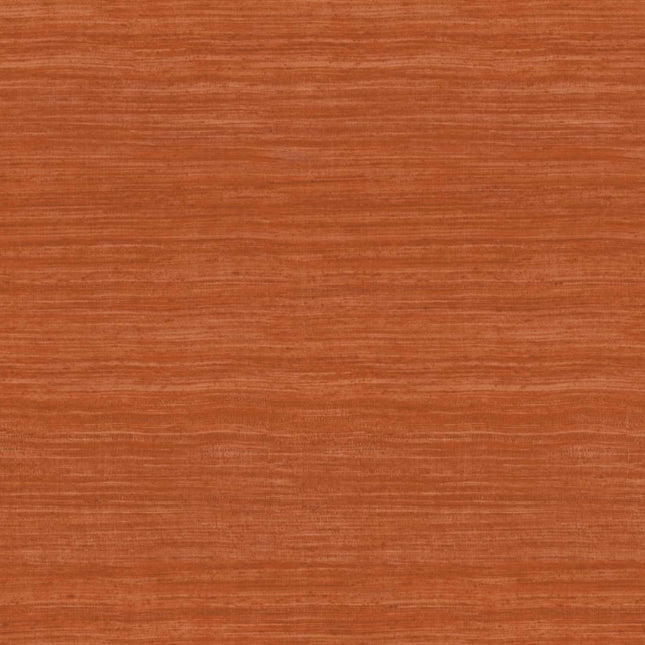 Arte Expedition Tasar 72036