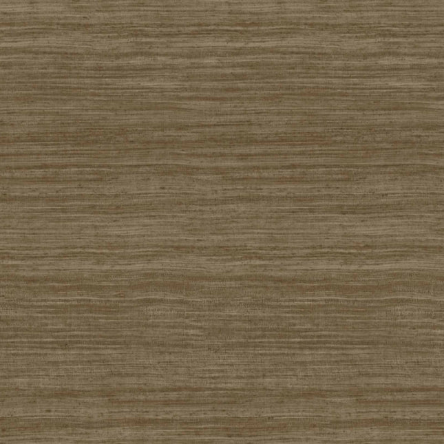 Arte Expedition Tasar 72037