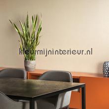 Arte Le Corbusier 31029 | Bestellen bij https://www.kleurmijninterieur.nl/