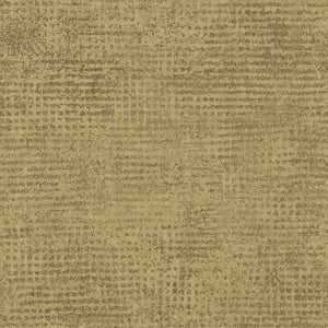ED2520 Arte Edition Interlude